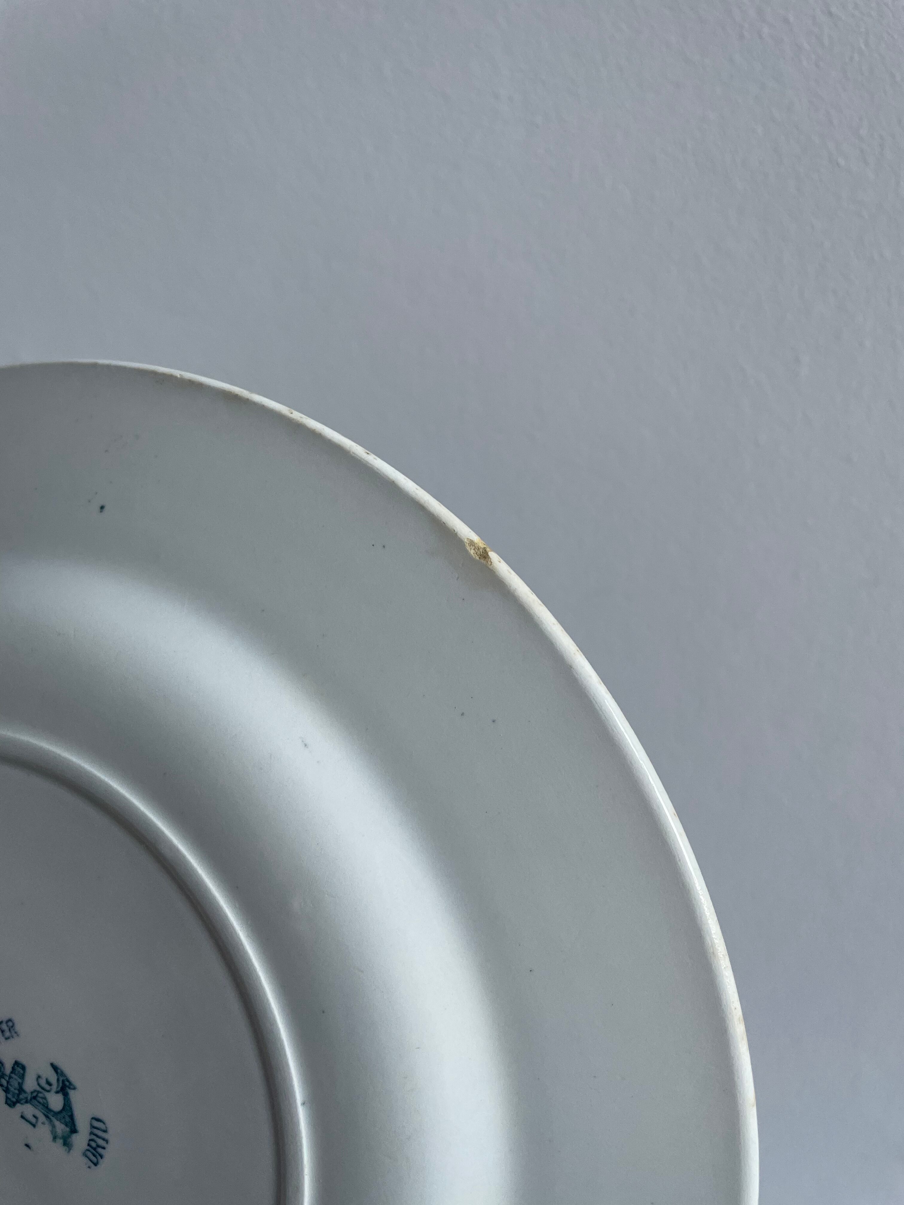 Set of 10 flat plates Terre de Fer XIXth, "Madrid"