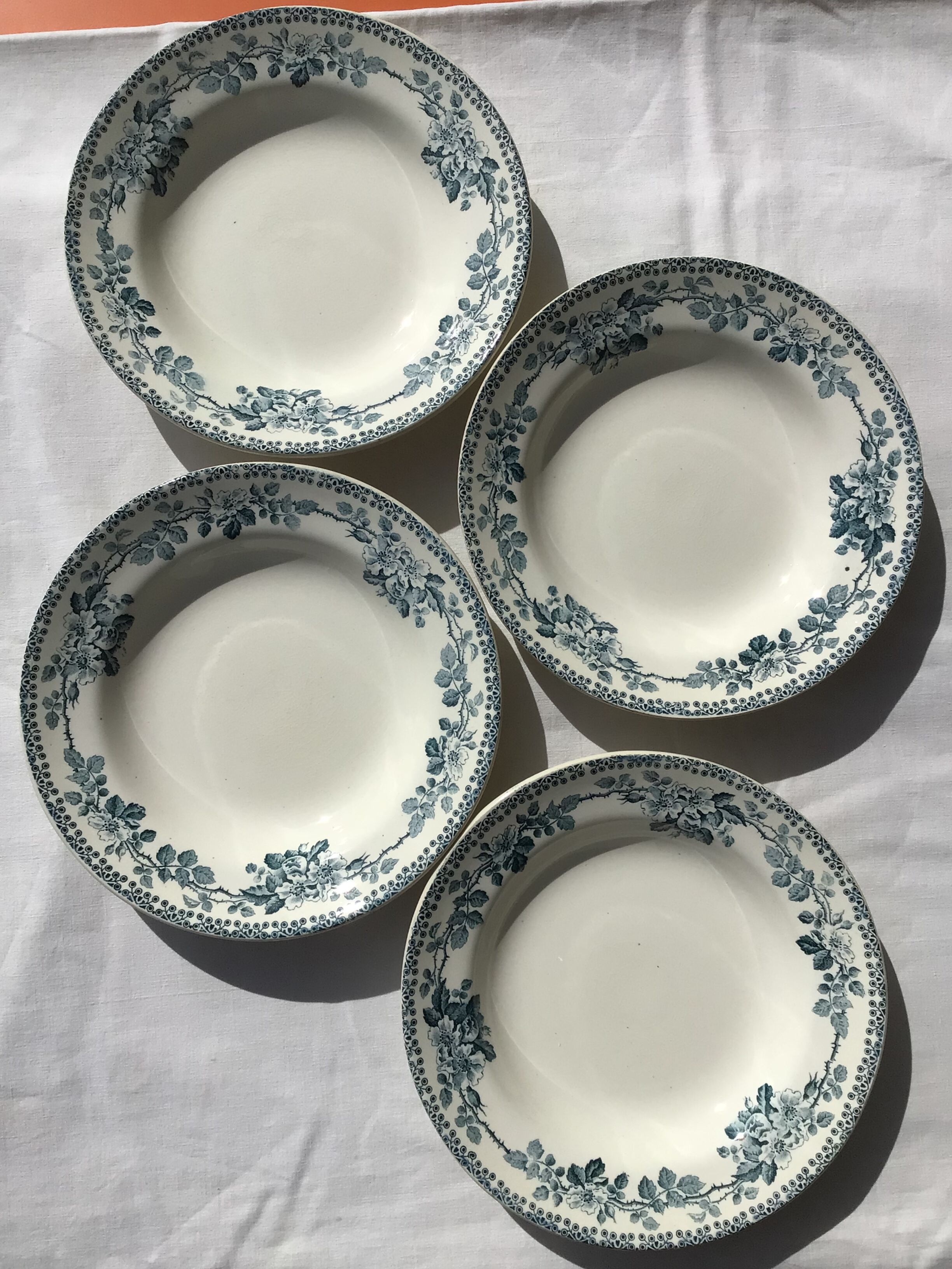 5 assiettes creuses Terre de Fer modèle Guadeloupe Debray bleu