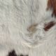 Tapis vintage peau de vache