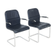 Set de 2 fauteuils  ”Cicero”, Kenneth Bergenblad, DUX, Suède, 1980