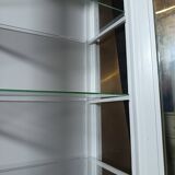 Display cabinet / Silver cabinet with 1 door from the 1950s.