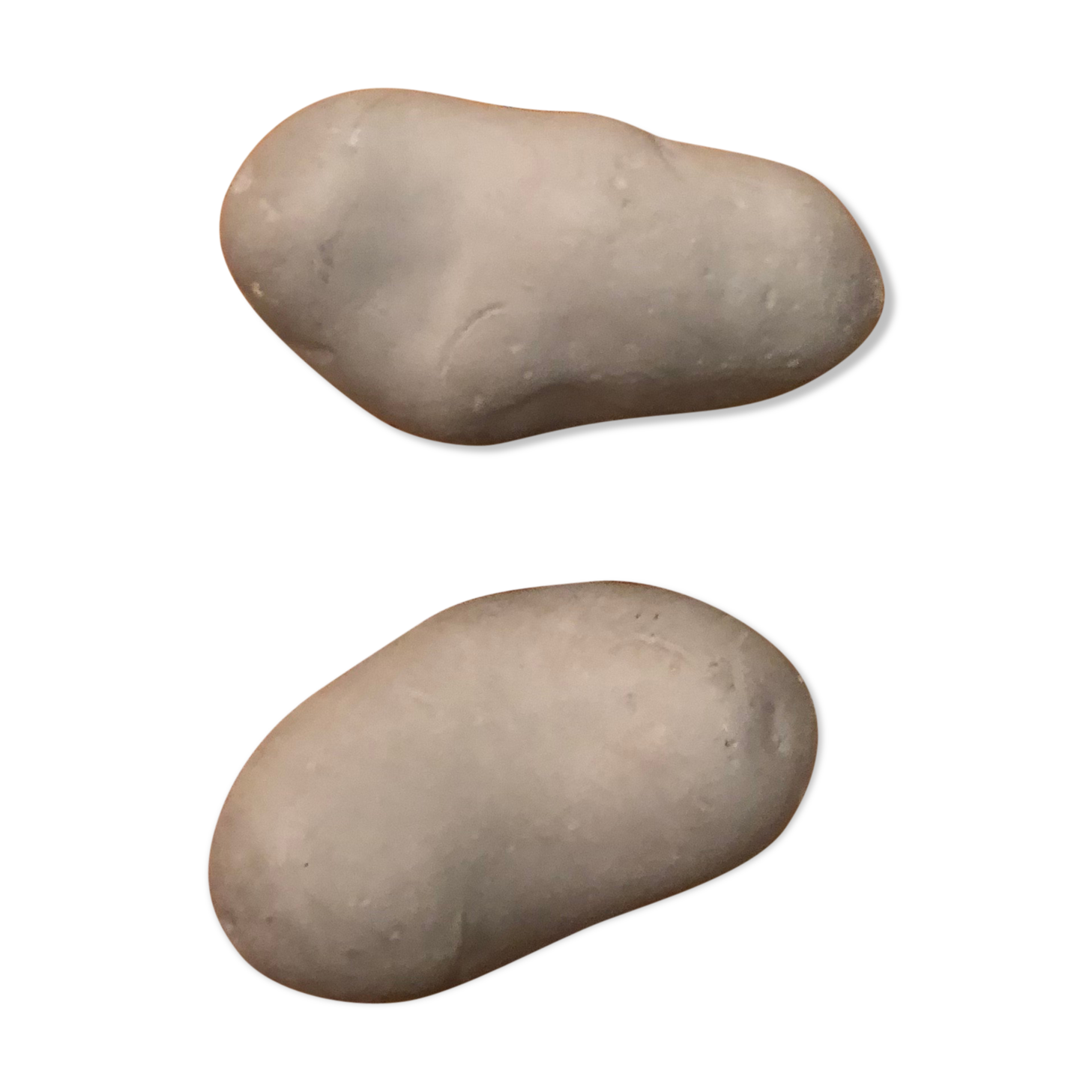 Pair of "potato" concrete patères Petite Friture design Sam Baron