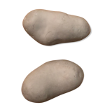 Pair of "potato" concrete patères Petite Friture design Sam Baron