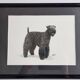 Old photograph, silver print, canine portrait signed "Dim" Henri Dimont 32 x 25 cm