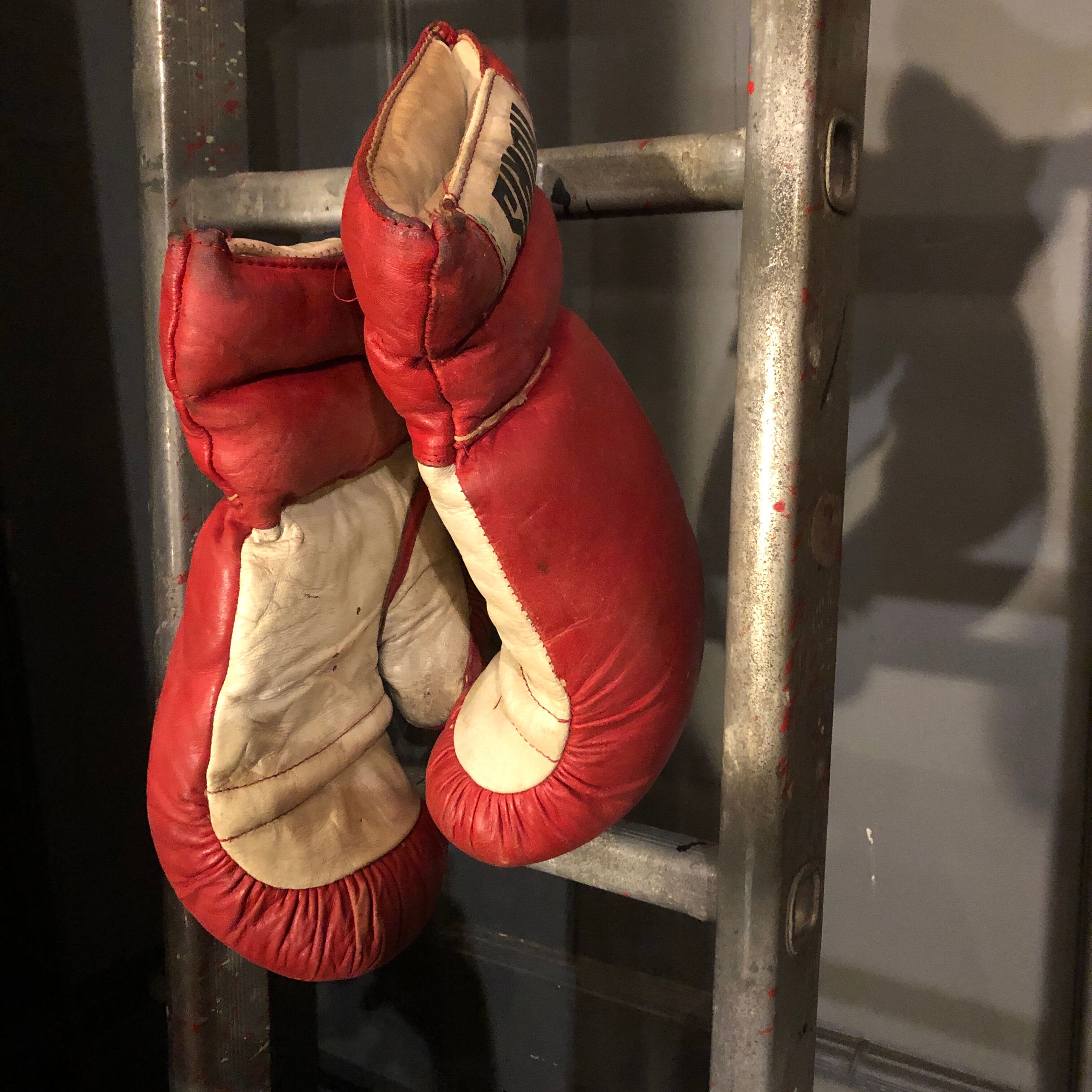 Boxing gloves