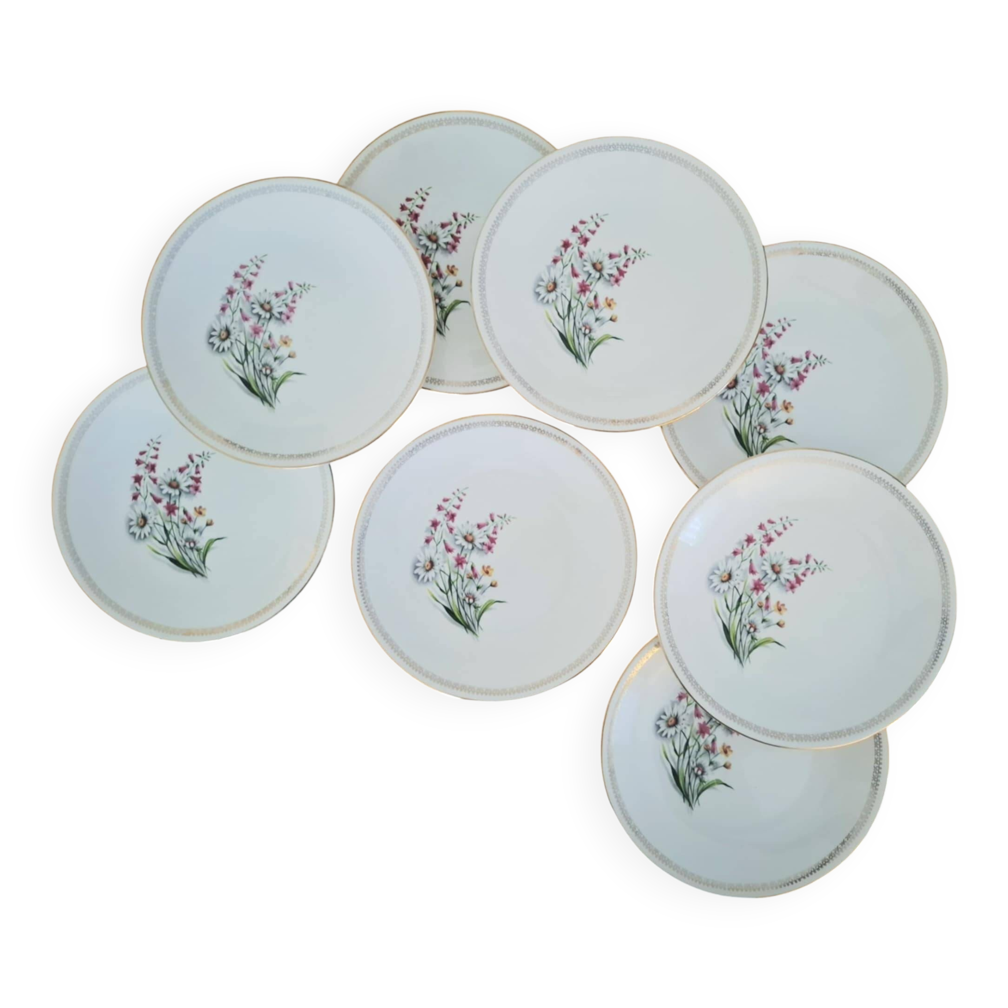 Vintage Floral Pattern Gien Earthenware Dinner Plates
