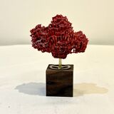 Corail rouge naturel ancien sur socle en bois d' ébène cabinet de curiosités