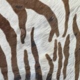 Vintage carpet zebra print cowhide