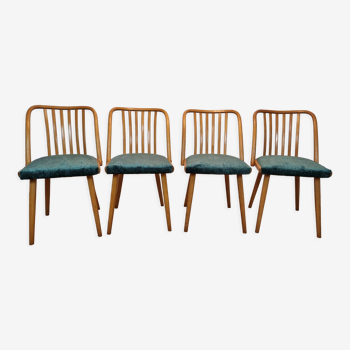 Antonin Suman dining chairs