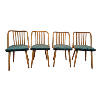 Antonin Suman dining chairs