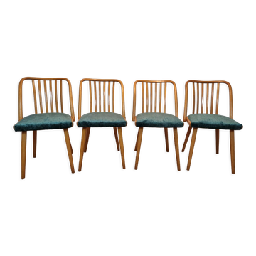 Antonin Suman dining chairs