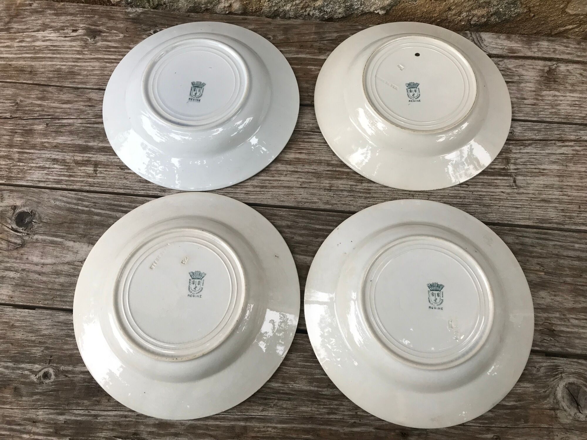 10 assiettes terre de fer. St Amand & Hamage. modèle Reigne