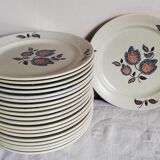 Serving 20 flat plates Sologne de Saint Amand