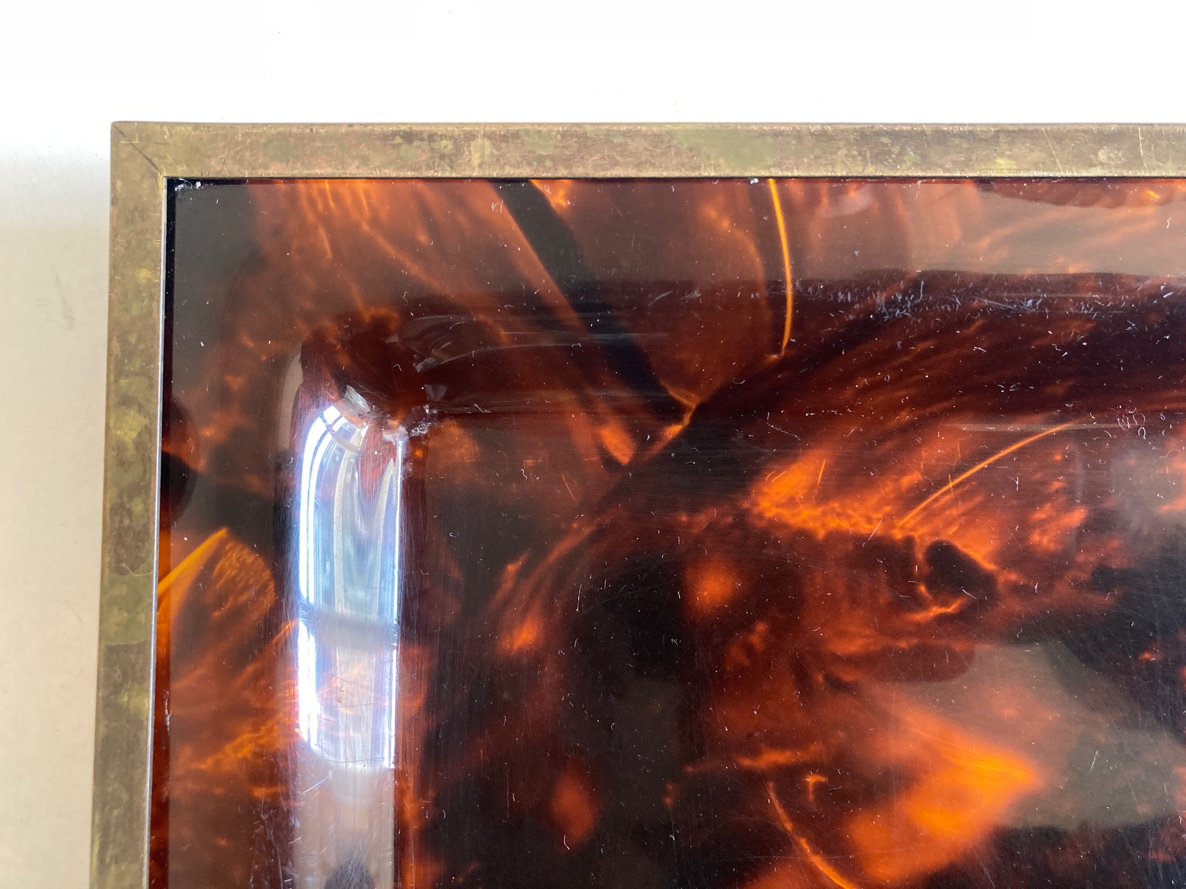 Plate of lucite scale and patinated brass