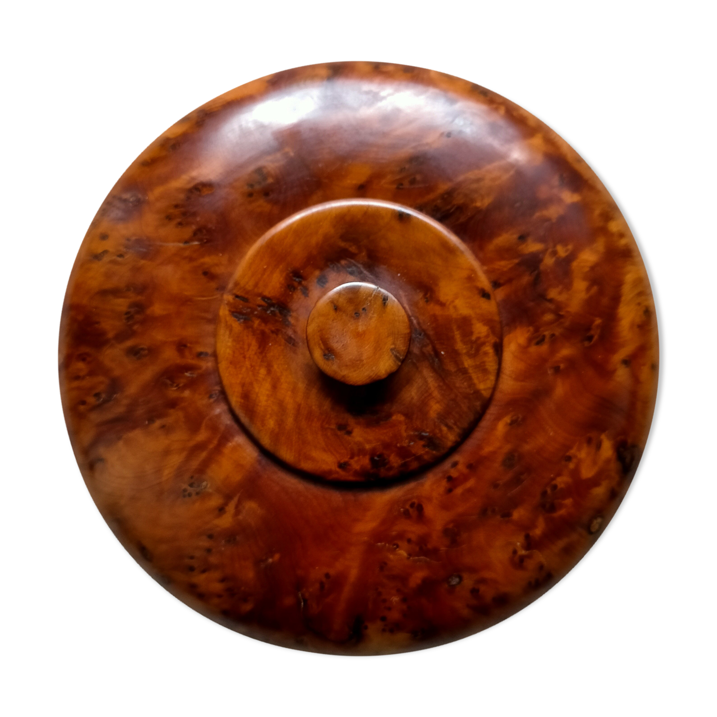 Thuya magnifying glass box