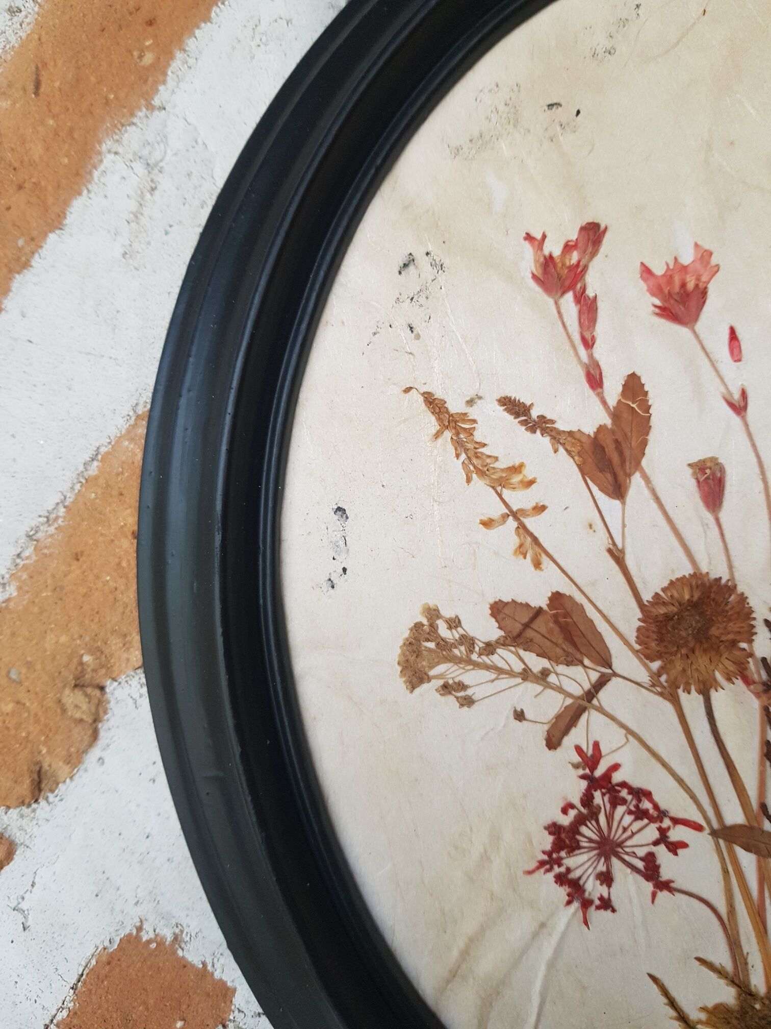 Pair of dried flower frames