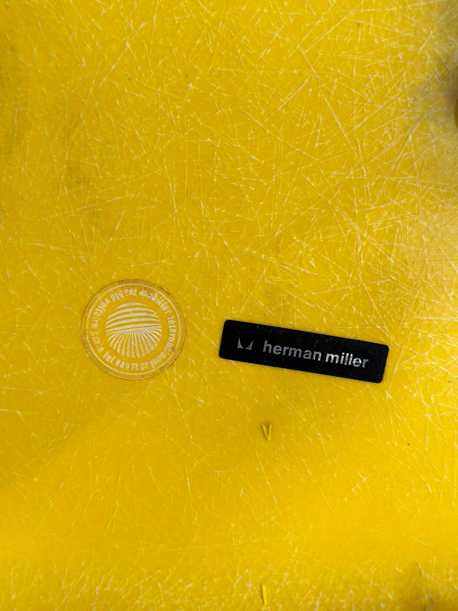 Fiberglass chairs from Ray&Charles Eames for Herman Miller