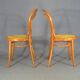 2 Chaise bistrot cannées N°14 de Joseph Hofmann "teinte merisier"
