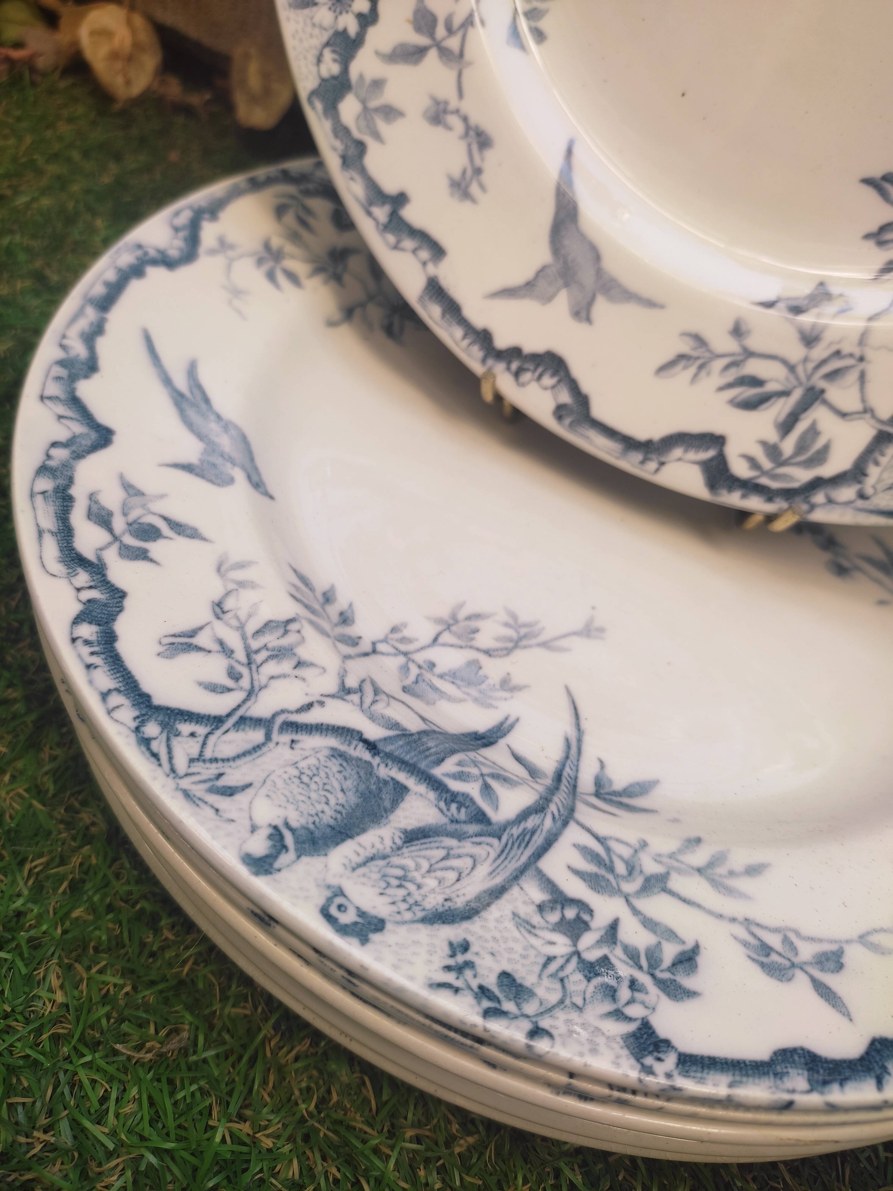 7 plates in earthenware with bird motifs by Lunéville