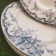 7 plates in earthenware with bird motifs by Lunéville