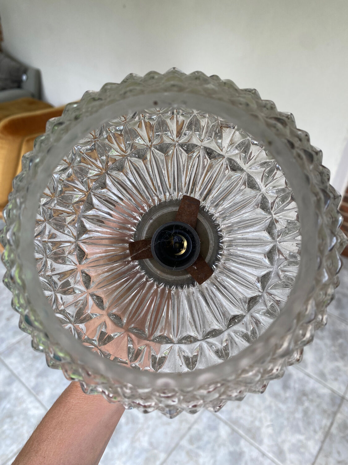 Fishhead globe wall lamp