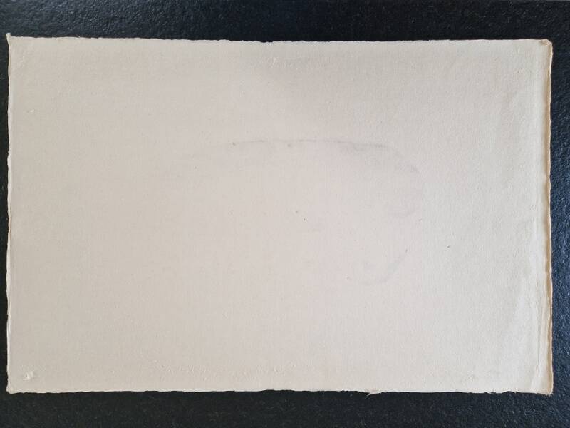 La Roche Laffitte (Born in 1943) - Watercolour drawing on fabric - Duck