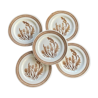 Set of 5 vintage EIT England dinner plates