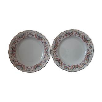 Assiettes anciennes digoin fleurs