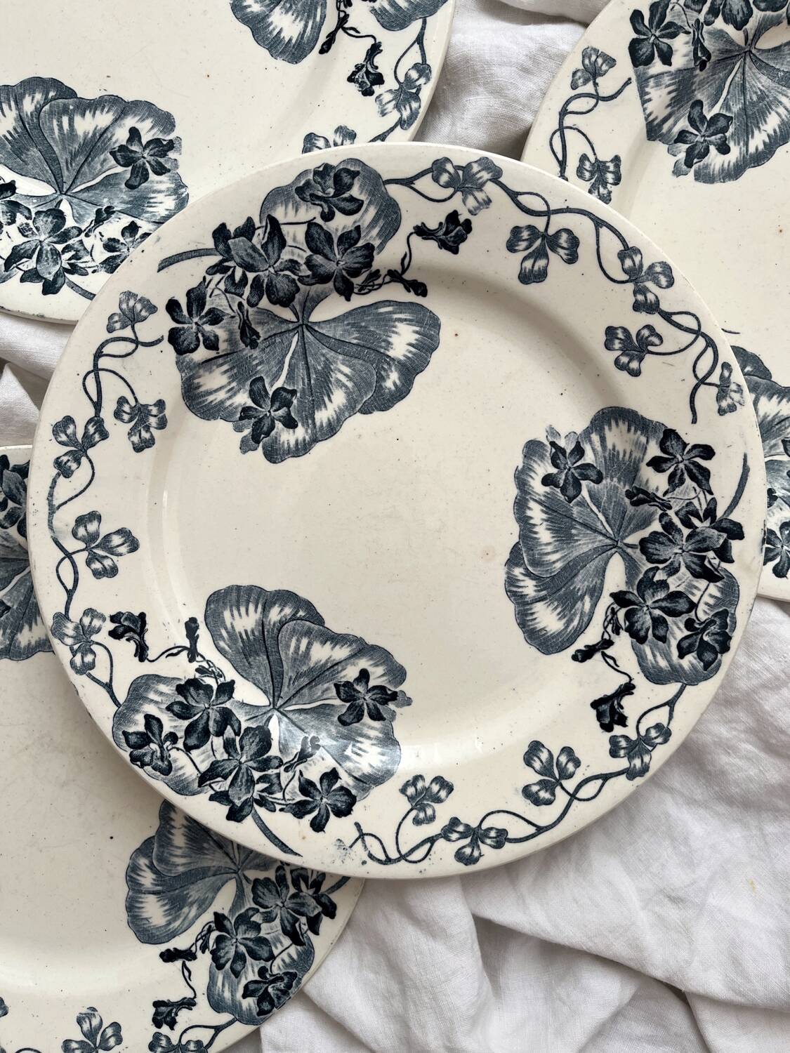 4 ironstone dinner plates “Les Violettes” Salins