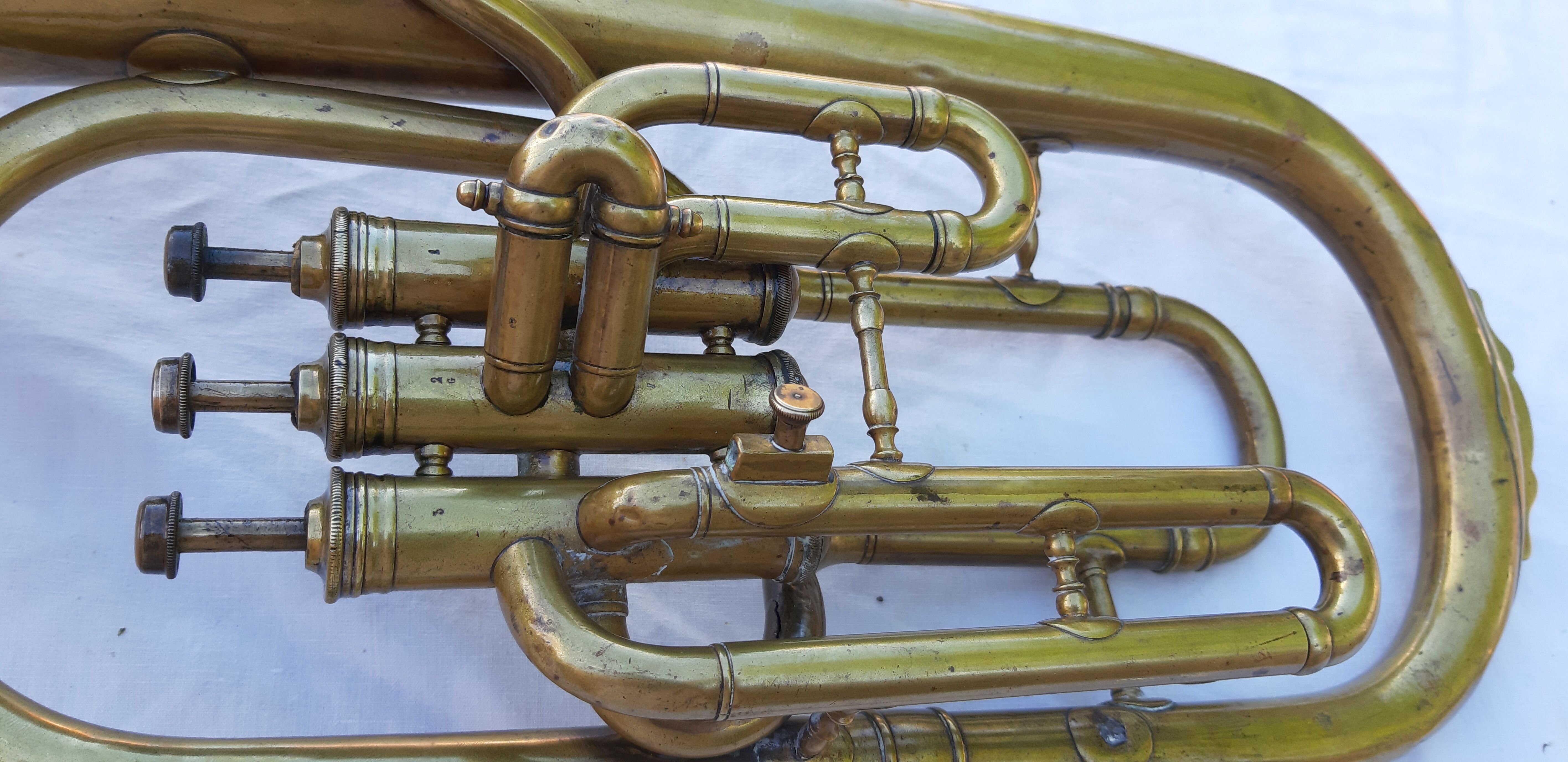 Trumpet cornet ancient margaritas