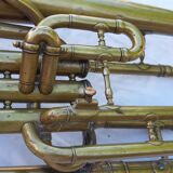 Trumpet cornet ancient margaritas