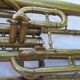 Trumpet cornet ancient margaritas