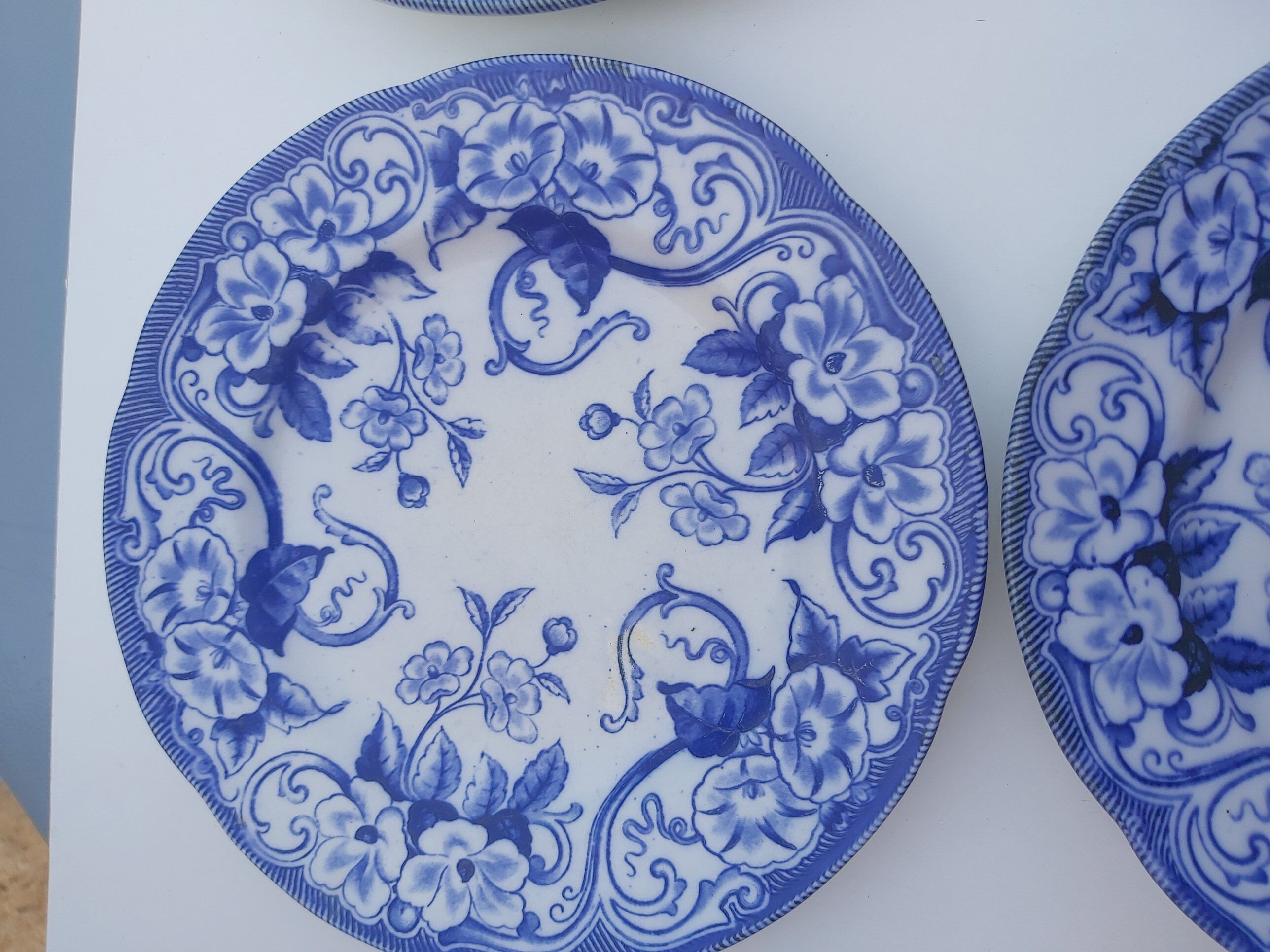 6 flat plates Creil and Montereau Flora