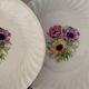 Assiettes Plates Porcelaine Vitriam Décor Fleurs d'Anémones Vintage