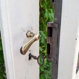 Old glazed door 211.5x105.5cm and its entrance door frame.