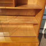 Vintage glass bookcase - Wood