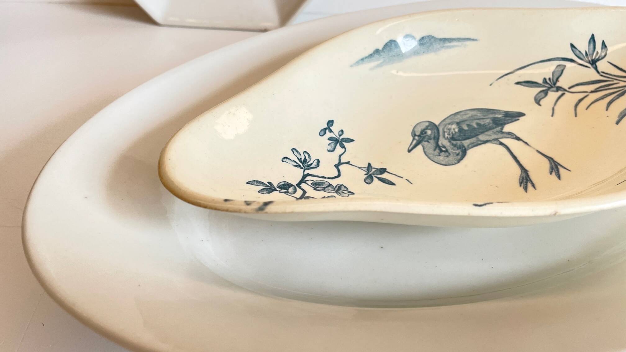 3 Presentation Dishes Terre de Feu KG LUNEVILLE – France