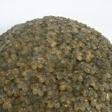 Seguso, XLarge Mid-century Gold Murano glass flowers ceiling lamp. Italy 19