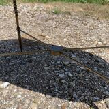 Oval coffee table in veined green marble