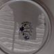 4 matching plates iron earth 1900