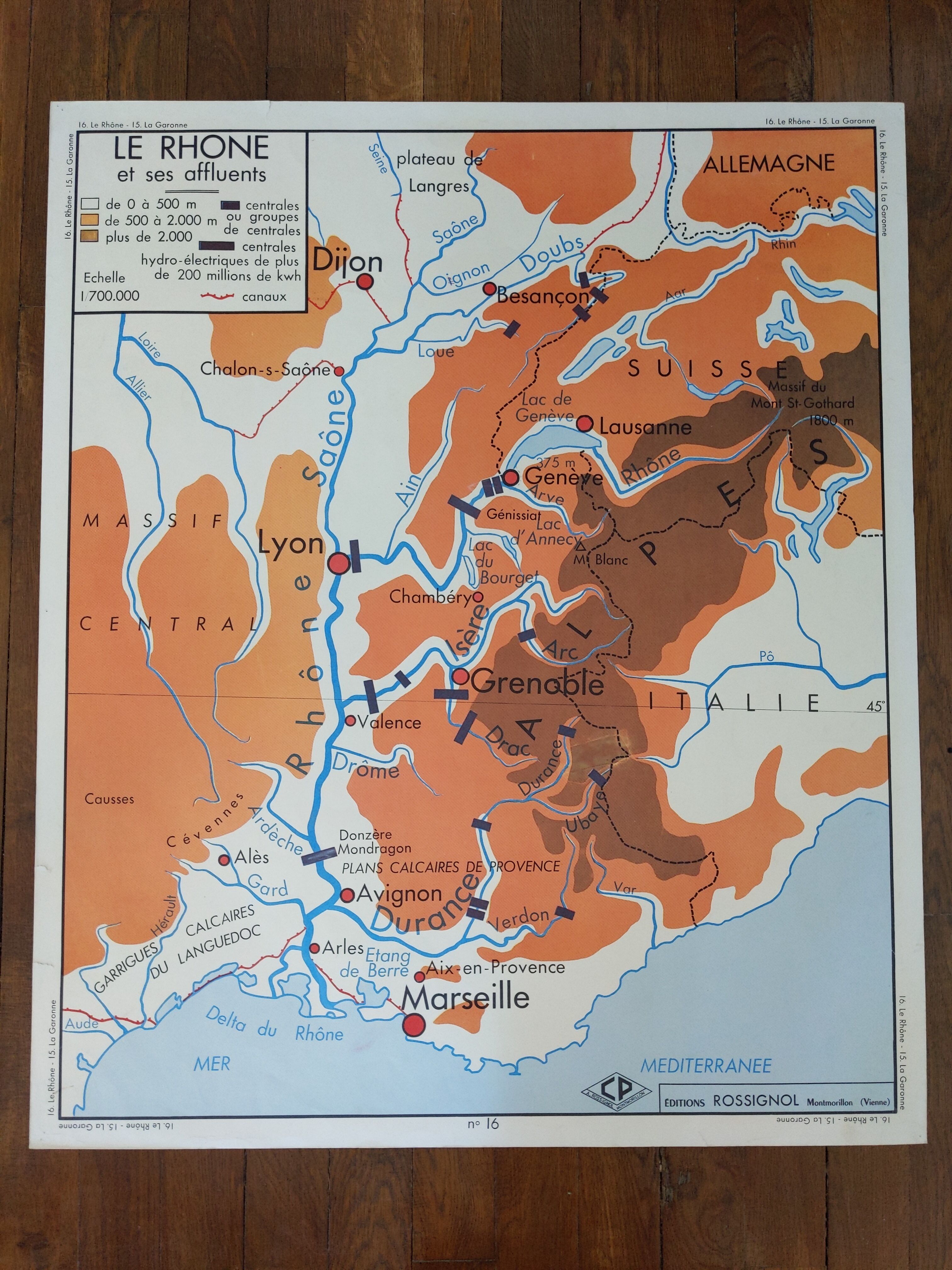 Old vintage school poster from the 60s, nightingale