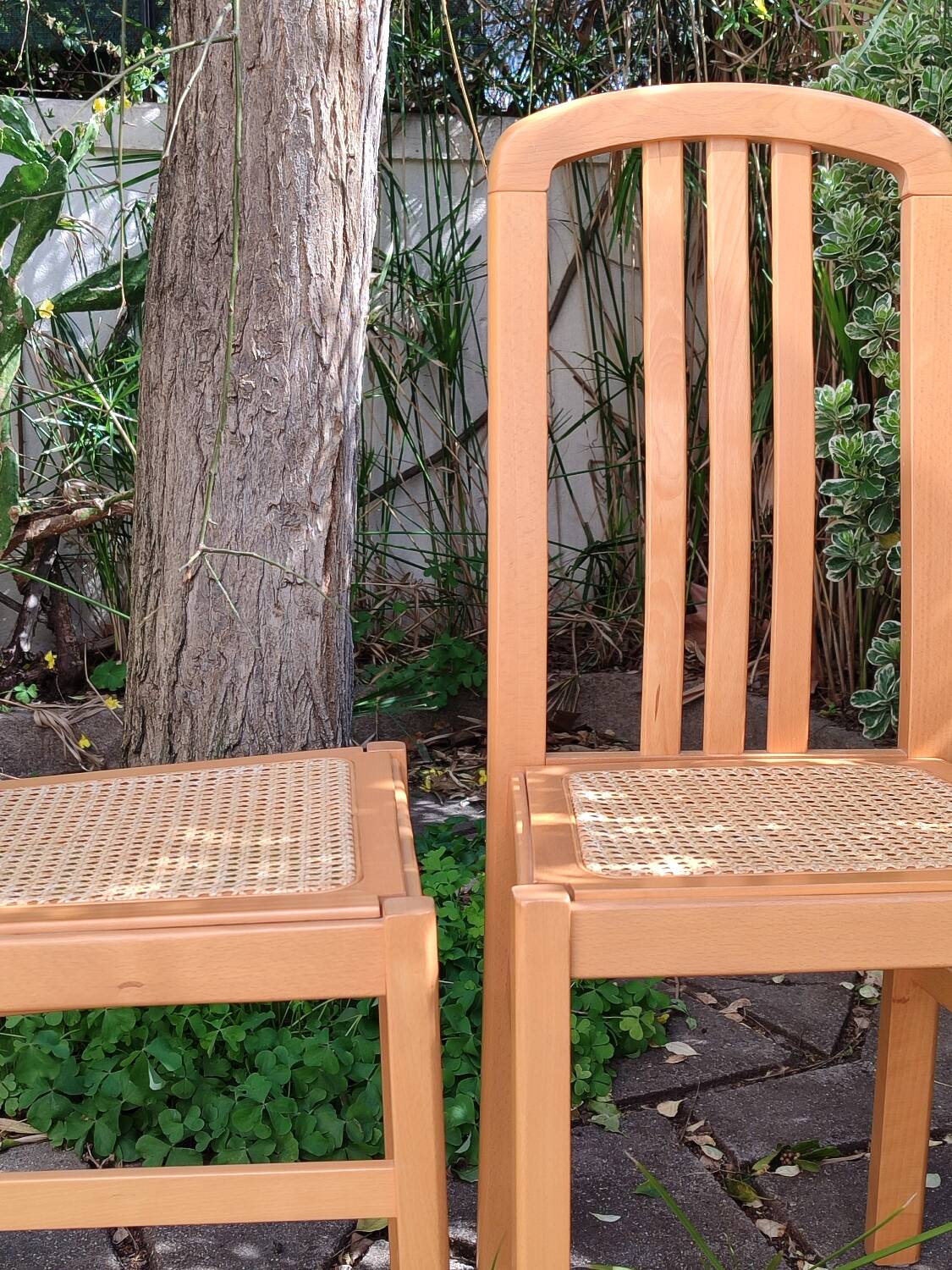 Chaises en bois et cannage