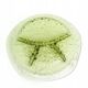 Appetizer cabaret 'Dew Drops', Polish Modernism, pressed glass, Ząbkowice, Poland, 1970s