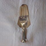 Cake shovel in silver metal