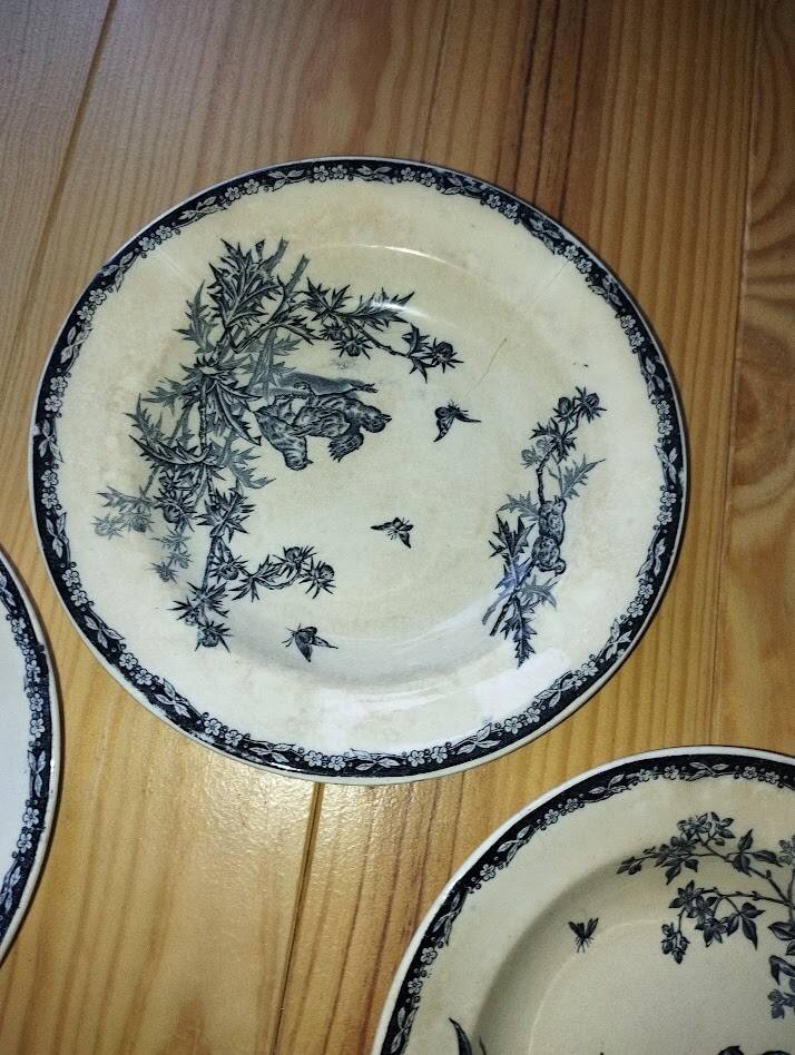 Flat Plates “Terre de Fer – The Chicks” (5 pieces)