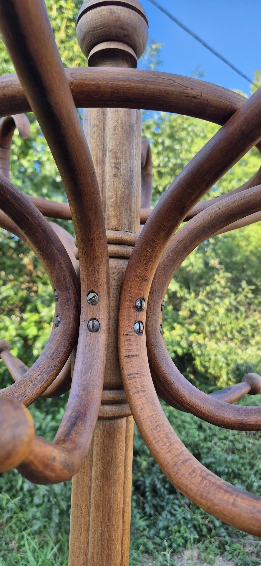 Vintage parrot coat rack in raw wood, renovated.