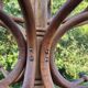 Vintage parrot coat rack in raw wood, renovated.