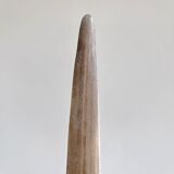 Swordfish tusk mounted on a custom pedestal