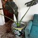 Pot de fleurs XXL asiatique