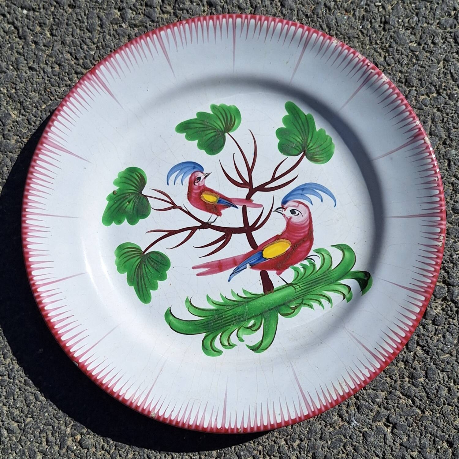 Earthenware plate with parrot decoration